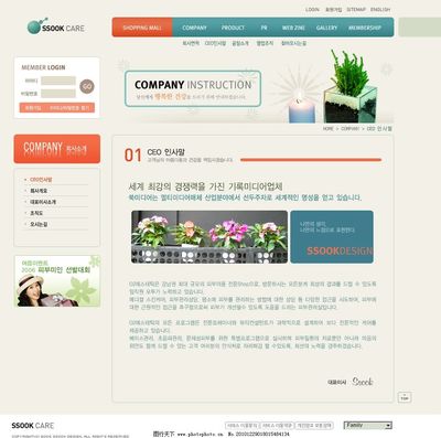 女性护理设计网页与网站模板 关键要素与视觉策略